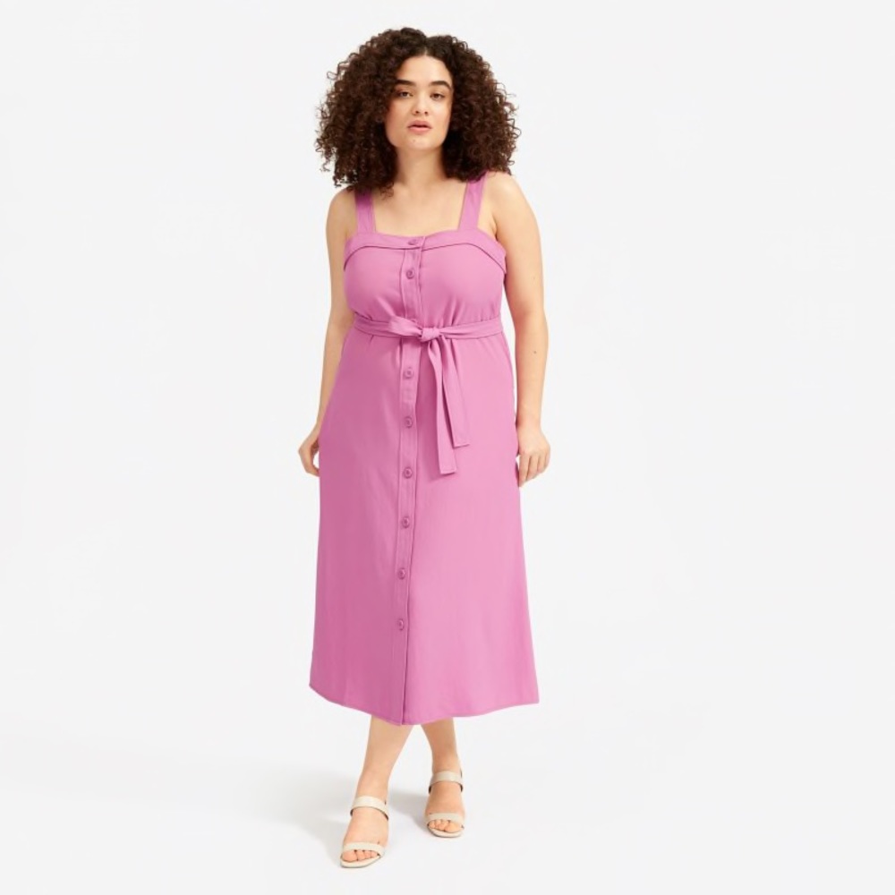 Everlane Japanese Go-Wave Picnic Dress NWT